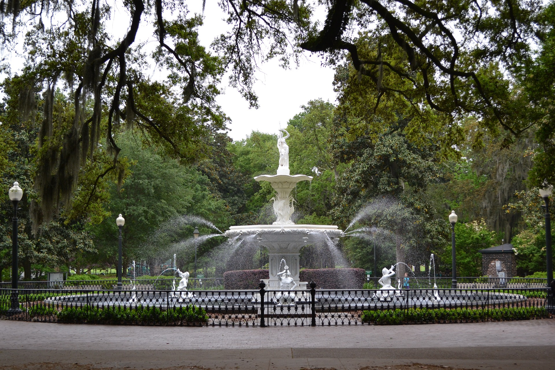 savannah-1582484_1920